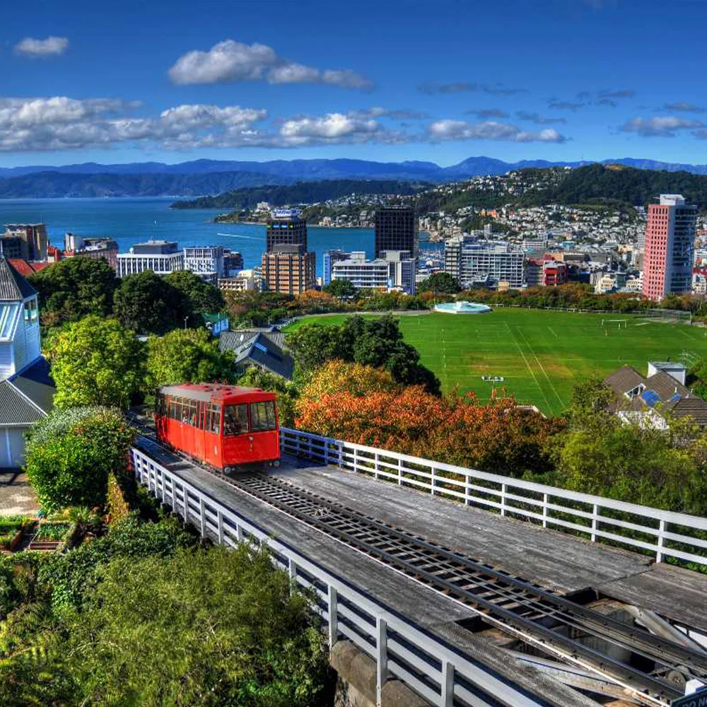 Travel to Wellington